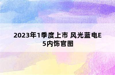 2023年1季度上市 风光蓝电E5内饰官图